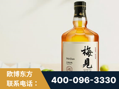 鄂尔多斯-梅见青梅酒